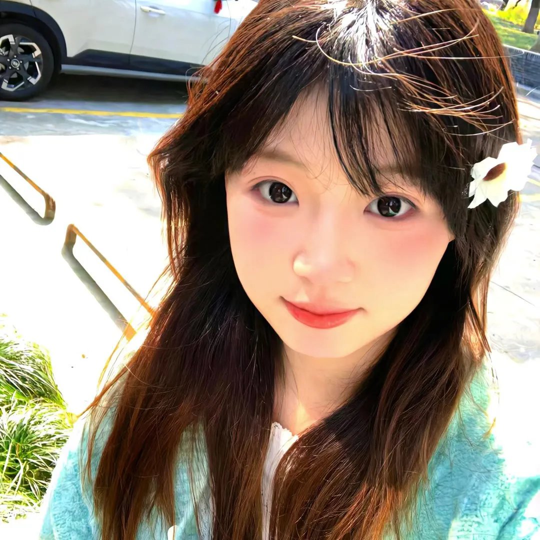 战地情莺