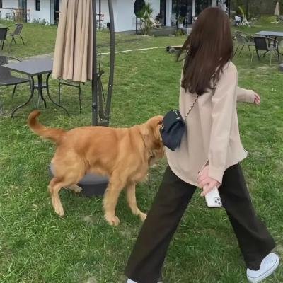 伟大圣心